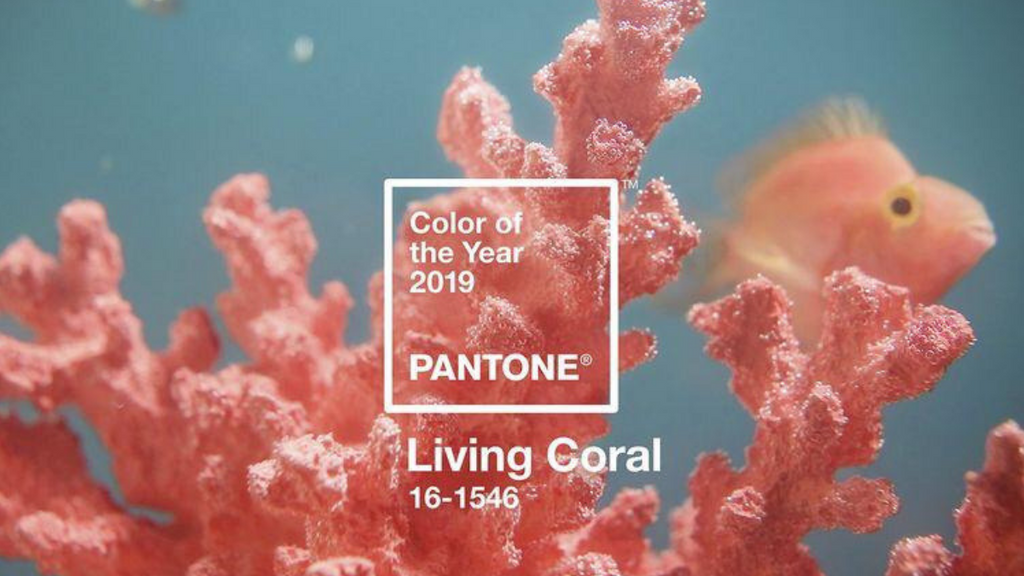 Pantone 2019 Coral Vivo
