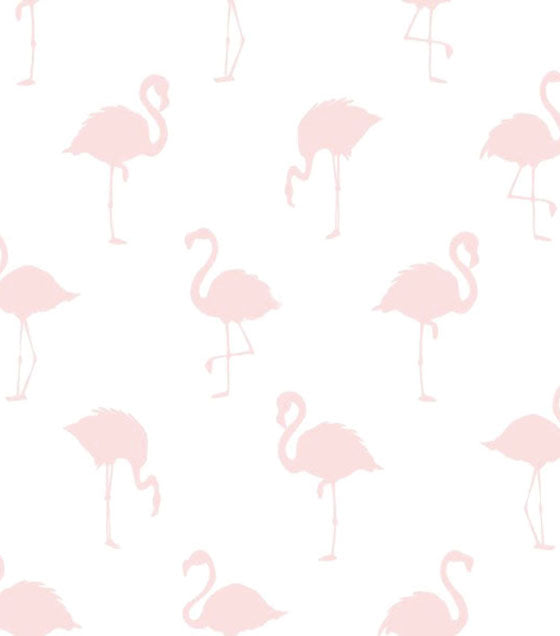 Papel de Parede- Little Bandits- Flamingos - Belinha Decorações